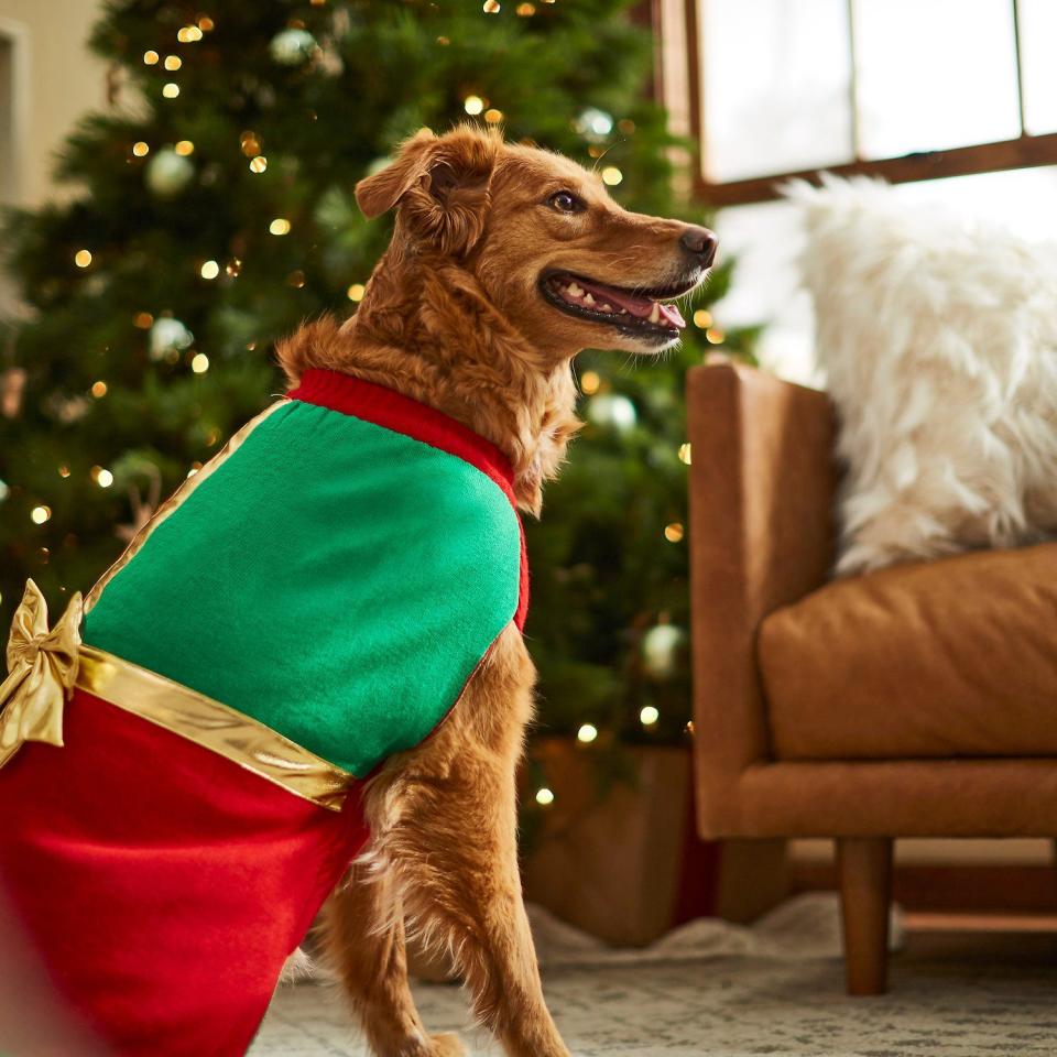 2) Holiday Gift Dog Sweater