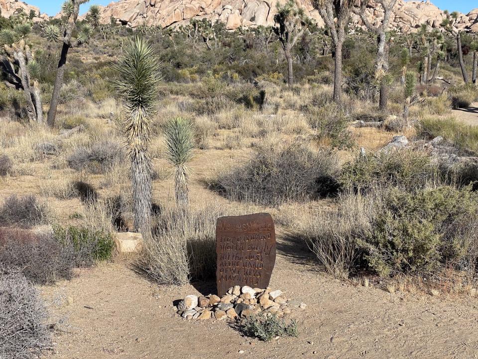 Part of the Wall Street Mine site in Joshua Tree National Park, California.