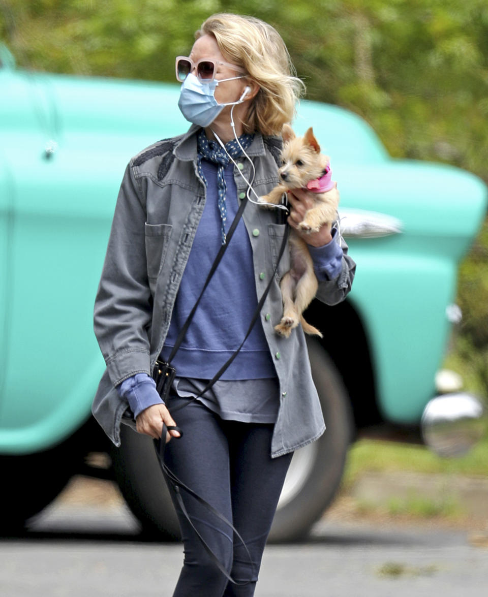 <p>Naomi Watts carries her new rescue dog, Izzy, while running errands in The Hamptons on Thursday. </p>