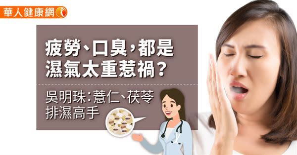 【影音版】疲勞、口臭，都是濕氣太重惹禍？吳明珠：薏仁、茯苓排濕高手