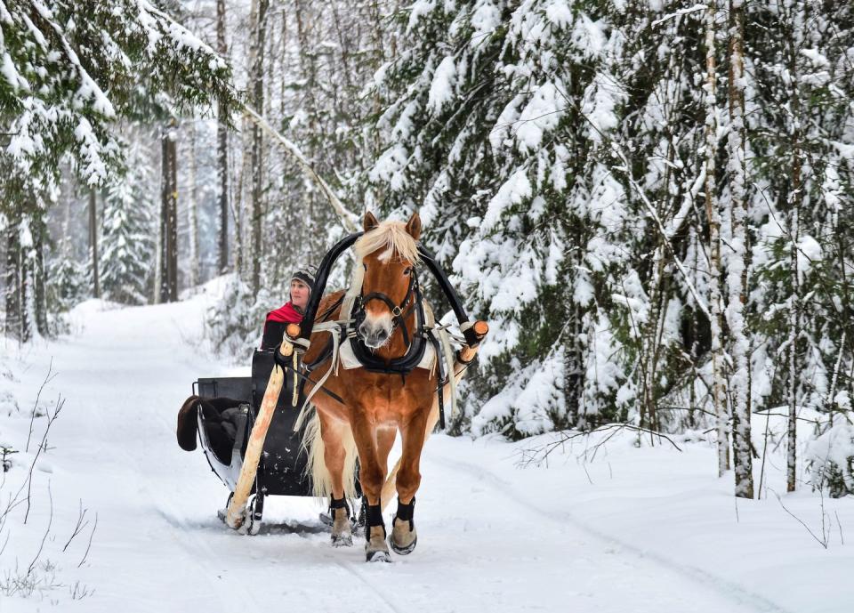 <p>Turns out, we first started dashing through the snow for an entirely different holiday. James Lord Pierpont <a href="https://www.snopes.com/fact-check/jingle-bells-thanksgiving-carol/" rel="nofollow noopener" target="_blank" data-ylk="slk:wrote the song;elm:context_link;itc:0;sec:content-canvas" class="link ">wrote the song</a> called "One Horse Open Sleigh" for his church's Thanksgiving concert in the mid-19th century. Then in 1857, the song was re-released under the title we all know and love. Today, it's still among the <a href="https://www.goodhousekeeping.com/holidays/christmas-ideas/g2680/christmas-songs/" rel="nofollow noopener" target="_blank" data-ylk="slk:most popular Christmas songs;elm:context_link;itc:0;sec:content-canvas" class="link ">most popular Christmas songs</a>. </p>