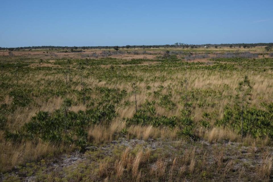 The observation tower at Duette Preserve gazes out over acres of habitat.