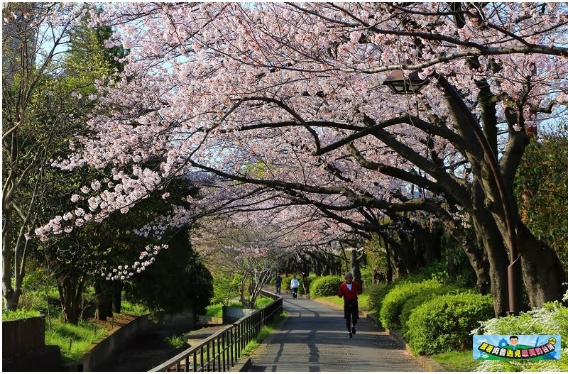 東京｜猿江恩賜公園