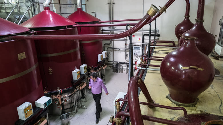 A master distiller walking among stills and tanks at a distillery