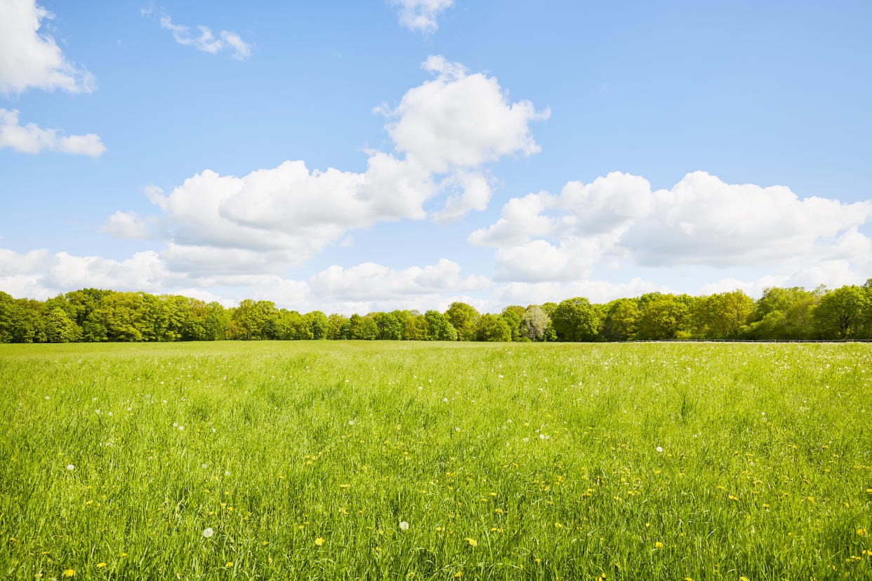 In den vergangenen Wochen erlebten wir den wärmsten Frühling in 140 Jahren (Symbolbild: Getty)