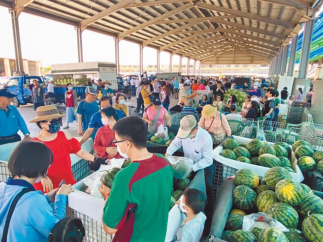 雲林縣二崙鄉自強果菜市場俗稱「瓜市」，每年5月充滿各種西瓜與各地來的饕客，民眾可開車進入挑選載走。（周麗蘭攝）
