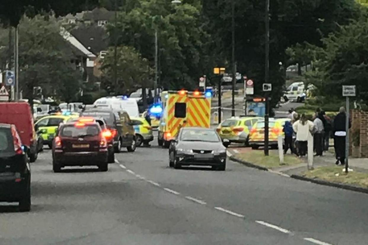 A large police presence was pictured at the scene on Mottingham Road: Twitter/Phil Chatman