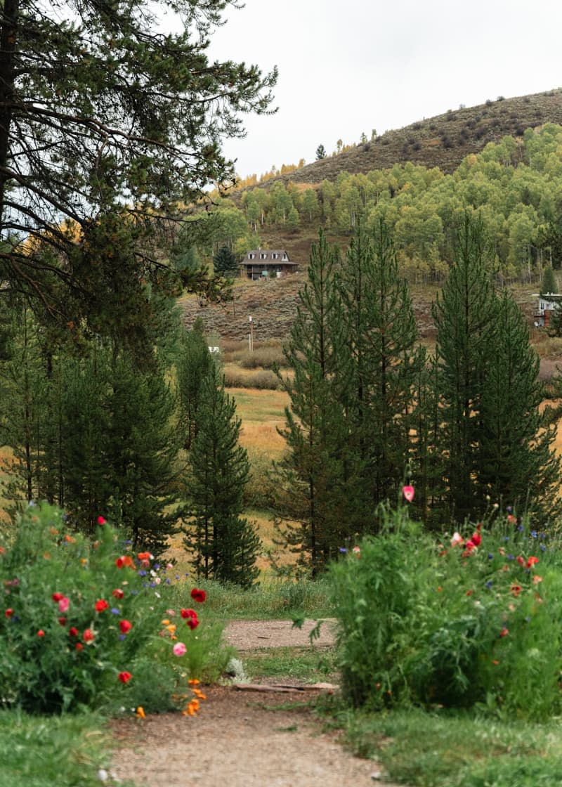 Garden over looking mountain valley.