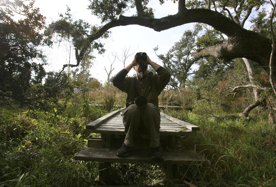 FILE - In this Dec. 22, 2010, file photo, Bart Siegel of New Orleans looks through binoculars for birds during the National Audubon Society's annual Christmas bird count on the Gulf Coast in Grand Isle, La. It's been 120 years since New York ornithologist Frank Chapman launched his Christmas Bird Count as a bold new alternative to what had been a longtime Christmas tradition of hunting birds. And the annual count continues, stronger and more important than ever. (AP Photo/Sean Gardner, File)