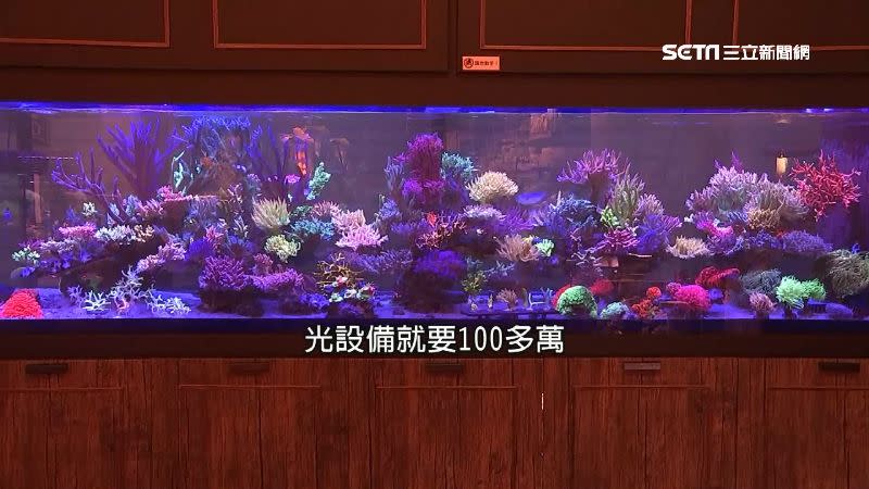 疫情期間不少人居家辦公太無聊就加入水族玩家行列，而水族館業績甚至逆勢成長。