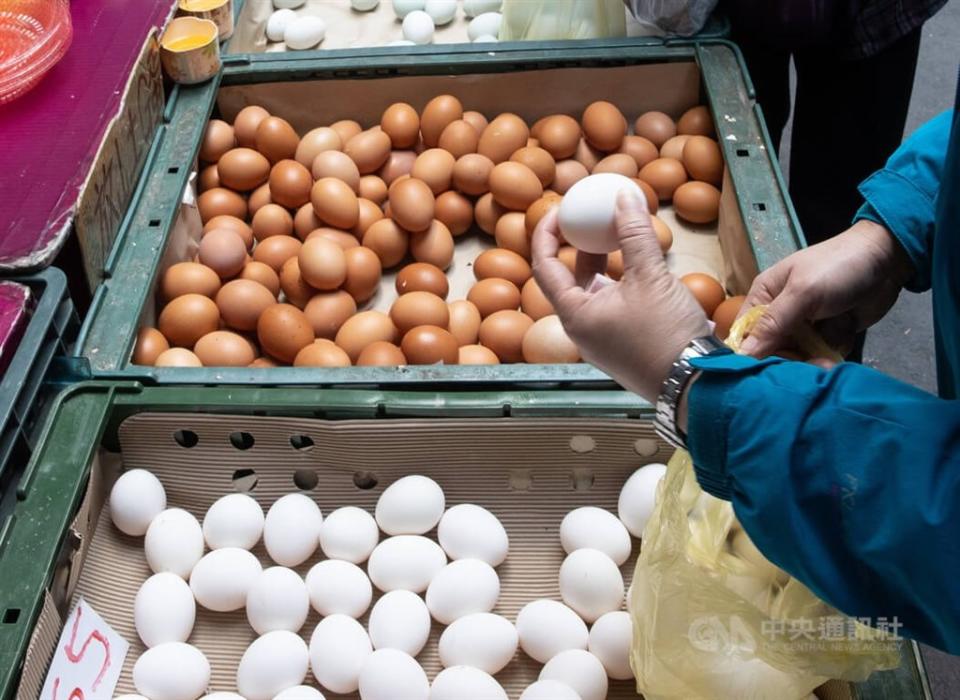 天冷蛋雞減產，農委會春節前向加工業調度釋出庫存，日前專案空運首批澳洲雞蛋還給業者。（中央社檔案照）
