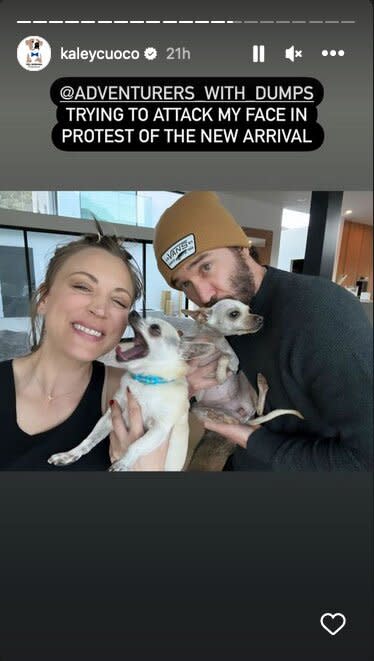 Pregnant Kaley Cuoco and Boyfriend Tom Pelphrey Adopt New Rescue Dog Before Baby's Arrival: 'We Did a Thing...Again'  Kaley & Tom: https://www.instagram.com/stories/kaleycuoco/3050048938832753003/  https://www.instagram.com/stories/kaleycuoco/3050044545426068668/  https://www.instagram.com/stories/kaleycuoco/3050046902019950066/ 