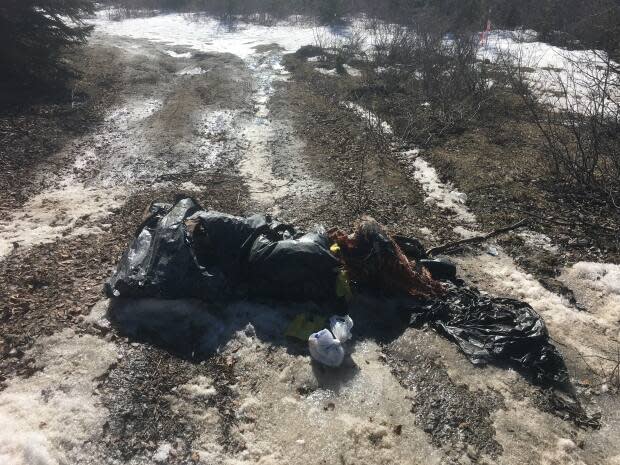 An abandoned moose carcass. The Department of Environment and Natural Resources is reminding residents to properly dispose of meat after several recent incidents of abandoned moose and caribou. (Department of Environment and Natural Resources - image credit)