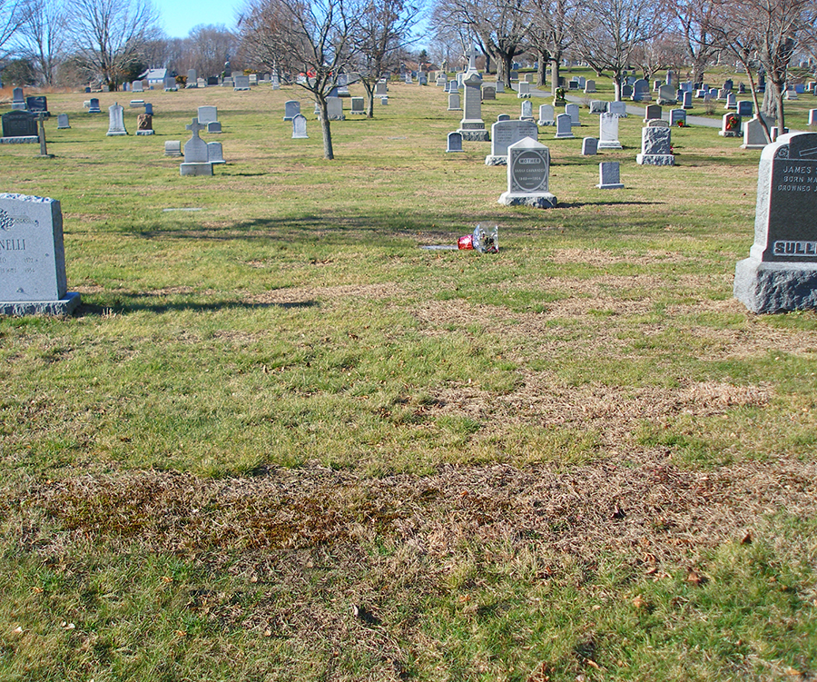 The gravesite of Fall River journalist and author Edwin H. Porter is unmarked at St. Patrick's Cemetery.