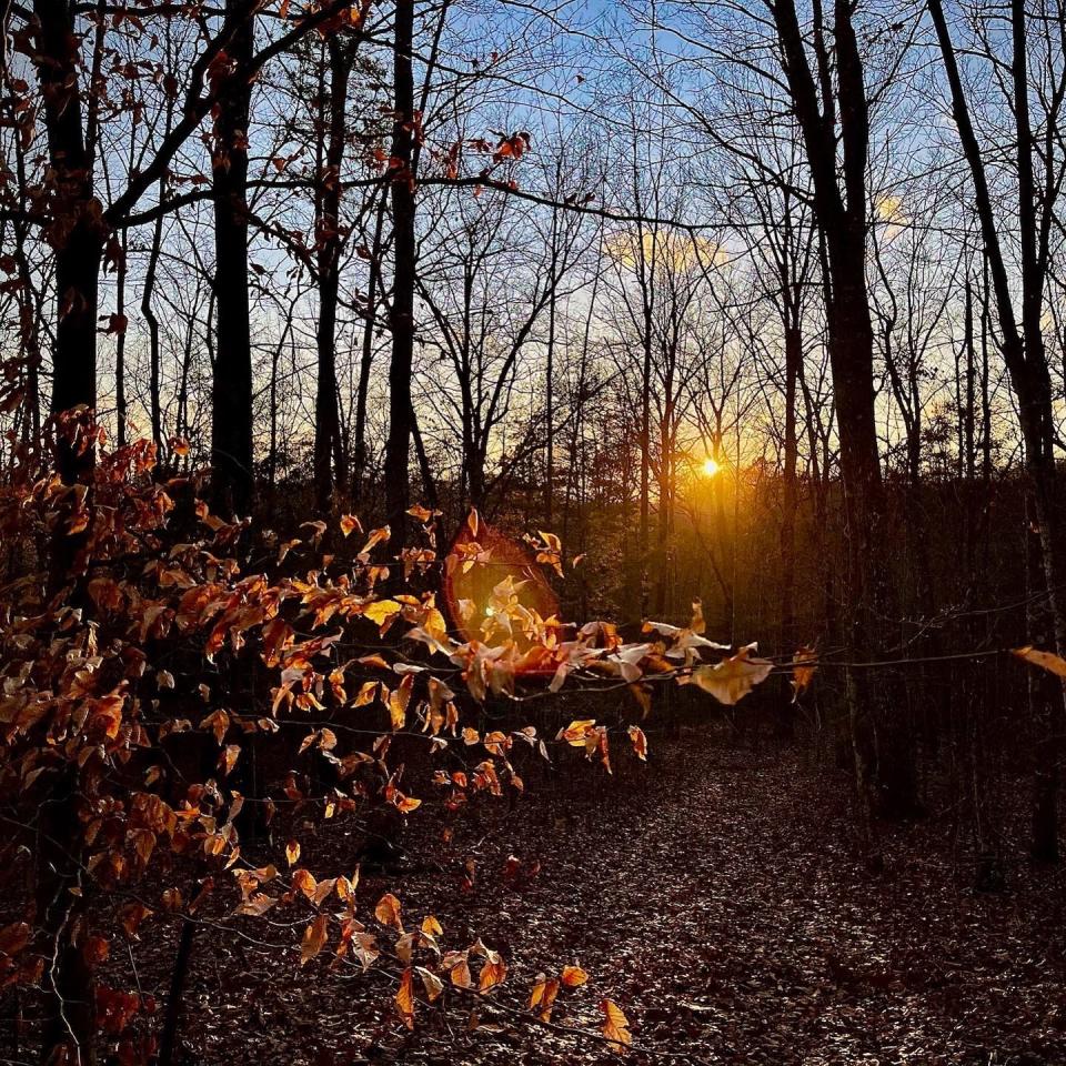 A sunsent over the trails on the 50-acres of property run by Dappled Light Adventures at Daniel Boone National Forest in Kentucky.