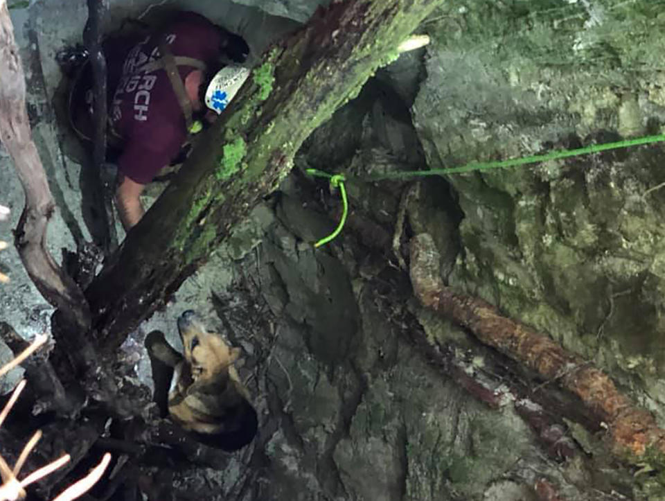 In this photo provided by the Burke County Rescue Squad, a member of the Burke County Rescue Squad rescues a dog trapped 30 feet (9 meters) down in a sinkhole, Sunday, Sept. 20, 2020, at Pisgah National Forest in Morganton, N.C. The dog was not injured, but was starving and dehydrated, according to the rescuers. (Burke County Rescue Squad via AP)