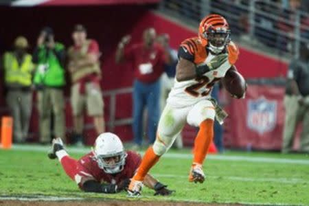 Cincinnati Bengals running back Giovani Bernard (25) runs past Arizona Cardinals middle linebacker Kevin Minter (51) during the fourth quarter at University of Phoenix Stadium. The Cardinals defeated the Bengals 34-31. Mandatory Credit: Kyle Terada-USA TODAY Sports