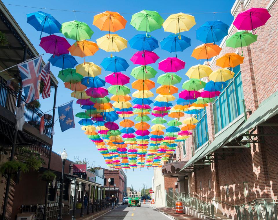 The Umbrella Sky Project adds a rainbow of color to East Intendencia Street in downtown Pensacola on Monday, October 30, 2017.