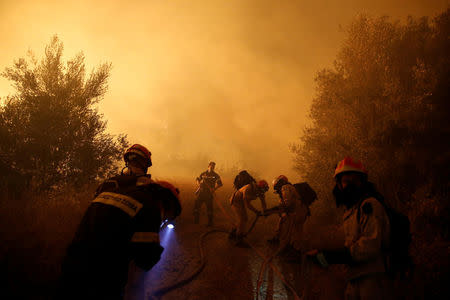 Firefighters try to extinguish a wildfire burning near the village of Kalamos, north of Athens, Greece, August 13, 2017. REUTERS/Costas Baltas