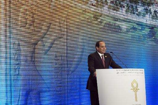 Egypt hails Arabs' $12 bn pledge as support for Sisi