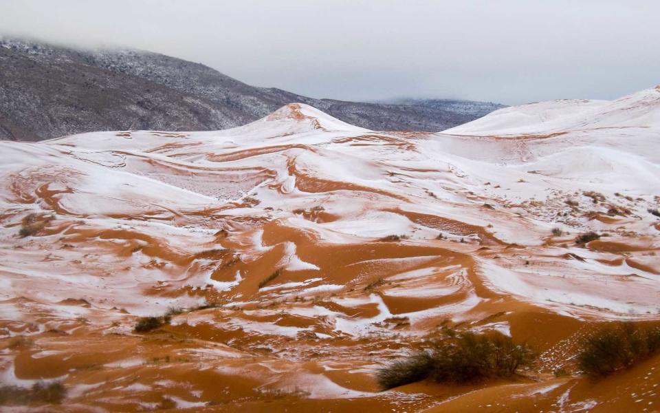 First Snow In Sahara Desert In 37 Years