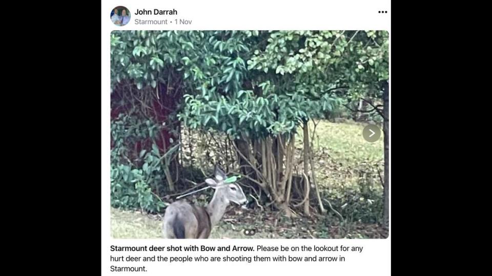A resident posted this photo on NextDoor of a deer with an arrow through its head in the Starmount area of south Charlotte.