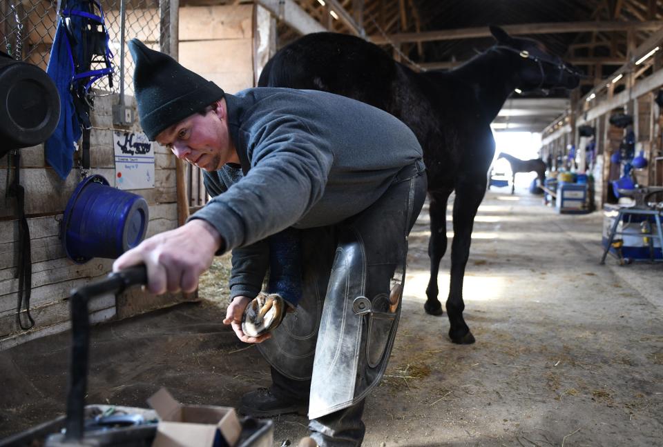 Farrier Michael Miller from Holmes County on Monday works with Intense Storm, who is nicknamed Hagrid, at Harvey Stable at the Stark County Fairgrounds in Canton.