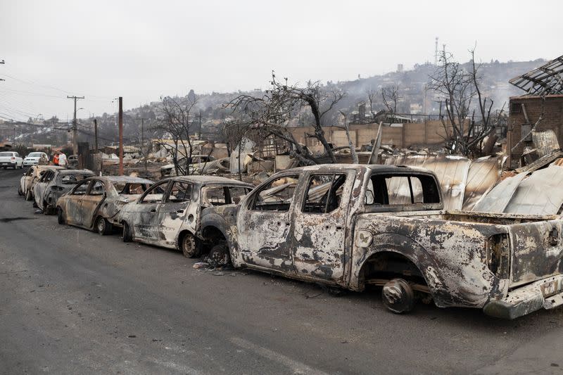 Raging forest fires turn deadly in Chile