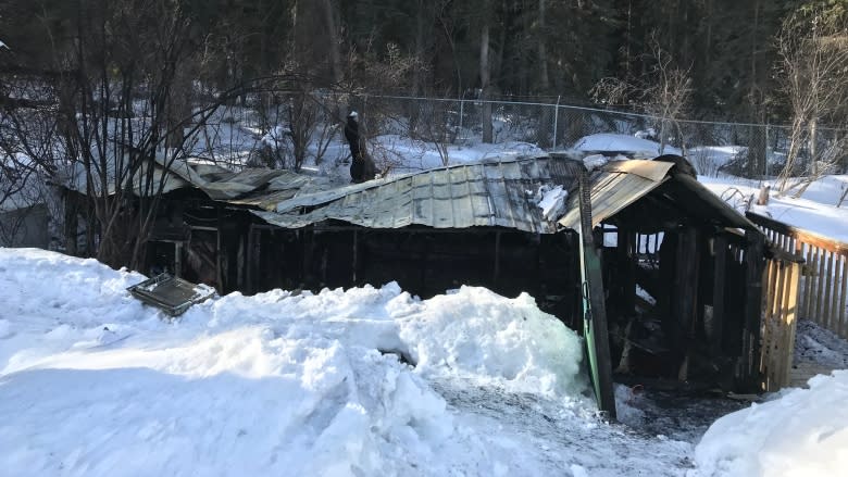 First Nation's fish stocking program bounces back after hatchery fire