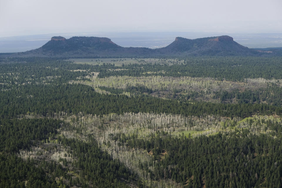 FILE - This Dec. 28, 2016, file photo shows the two buttes that make up the namesake for Utah's Bears Ears National Monument in southeastern Utah. U.S. Secretary of the Interior Deb Haaland will visit Utah this week before submitting a review on national monuments in the state. She's expected to submit a report to President Joe Biden after she meets with tribes and elected leaders at Bears Ears National Monument on Thursday, April 8, 2021. (Francisco Kjolseth/The Salt Lake Tribune via AP, File)