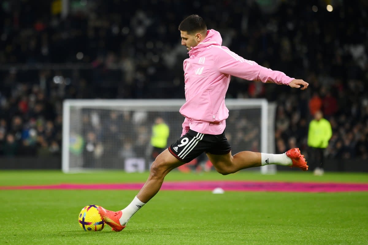 Aleksandar Mitrovic warms up before kick-off (Getty Images)