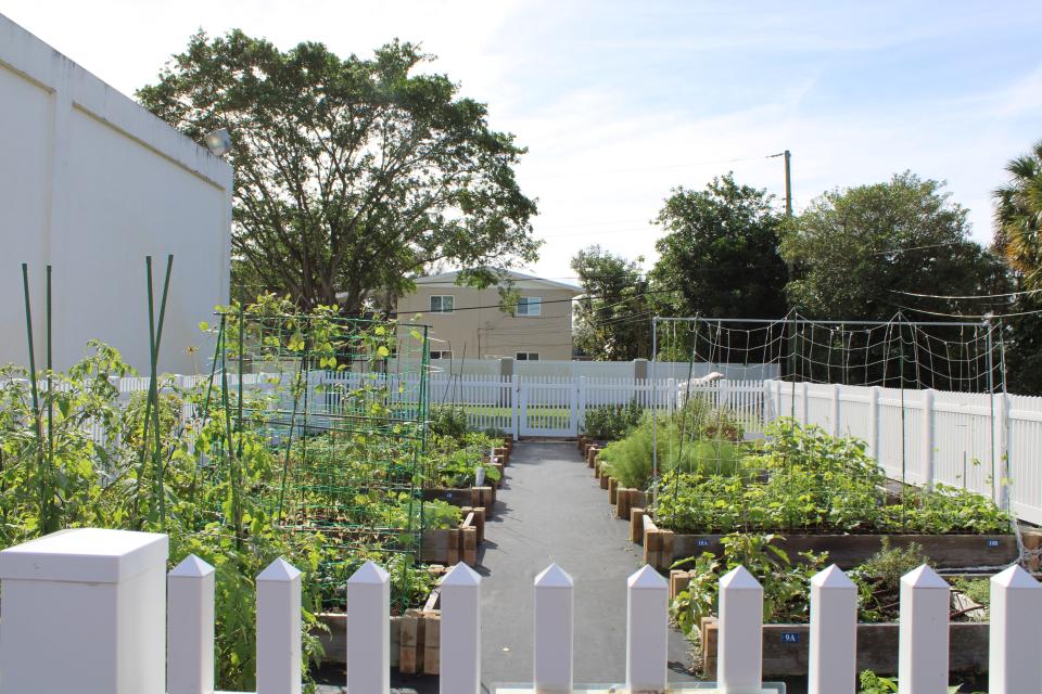 Osborne Park, nestled along Prosperity Farms Road in North Palm Beach, is home to a popular community garden.