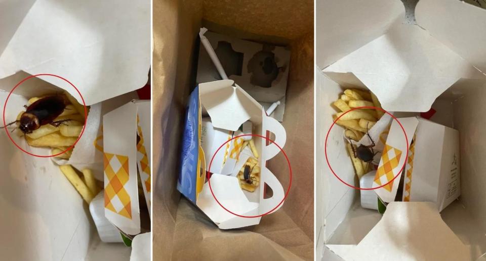 Live cockroach inside McDonald's Happy Meal