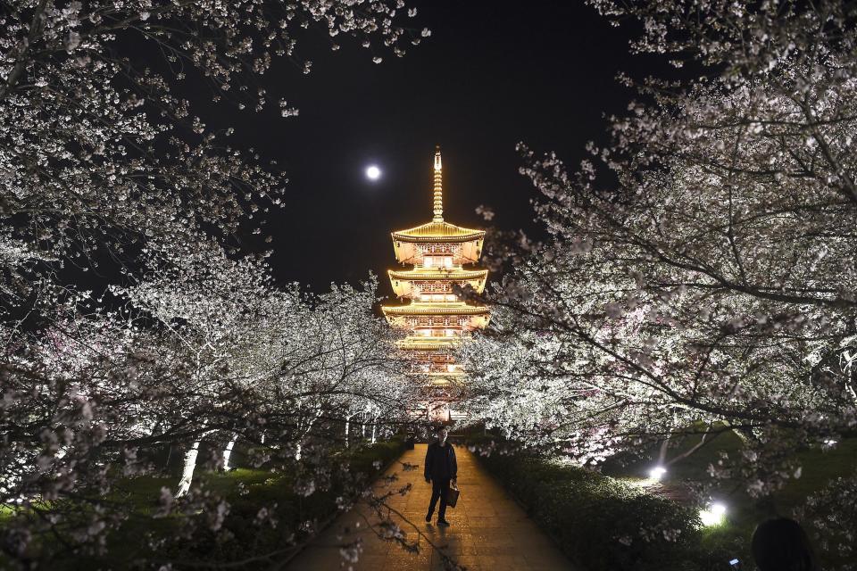 (Photo: Wang HE/Getty Images)