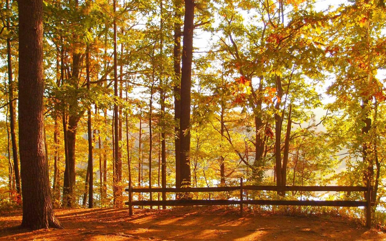 Camping can be a great way to admire colorful fall foliage.