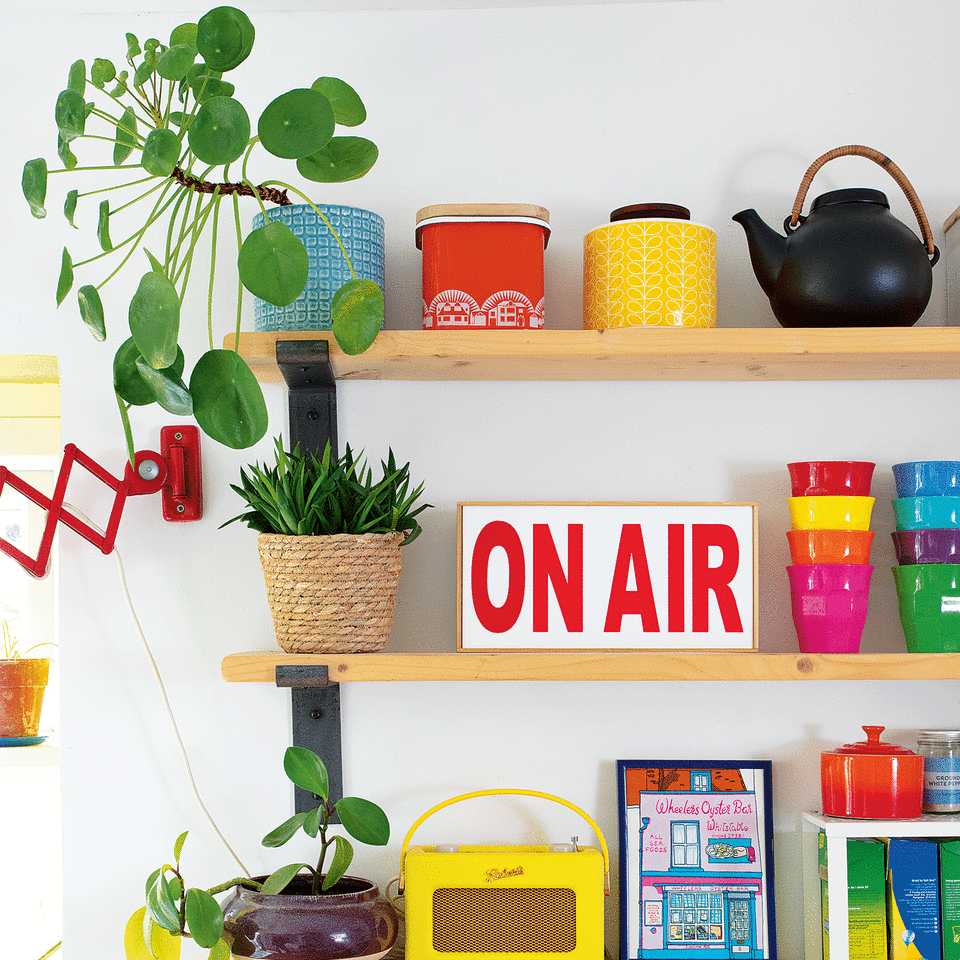 Open shelves in kitchen with multicoloured crockery and houseplant