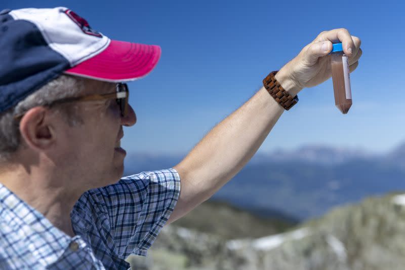 In search of snow blood algae