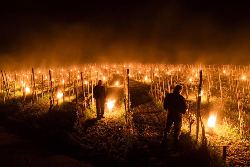 Protecting crops