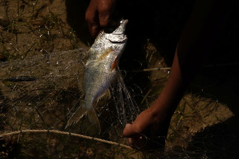 The Wider Image: Rising sea levels are forcing Fiji's villagers to relocate. They want polluters to pay instead