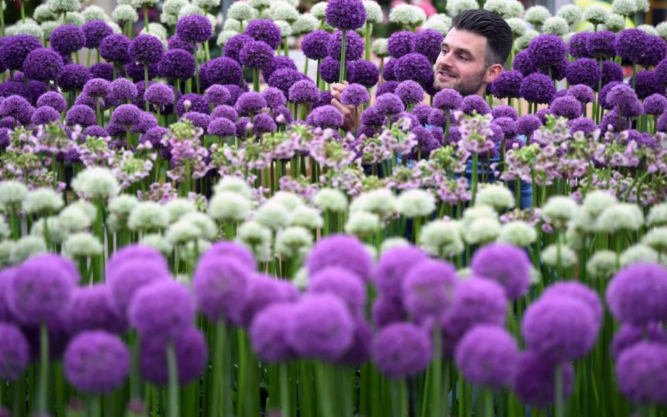 Chelsea Flower Show