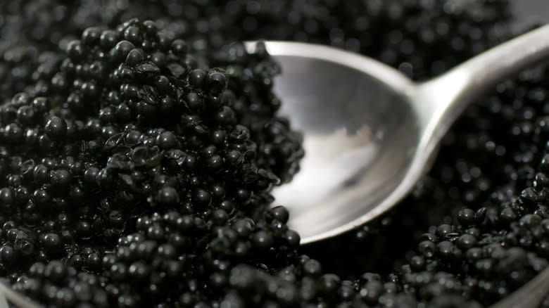 spoon in caviar