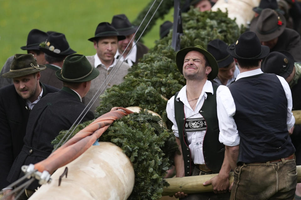 Bavarian highland folk dressed in traditional clothes erect a May pole in Rottach Egern, Germany, Monday, May 1, 2023. May trees are traditionally set up all over Bavaria on May 1. Ribbons are attached and dances are held around the pole. (AP Photo/Matthias Schrader)