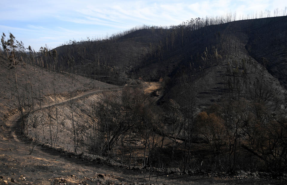 Wildfires burn out of control in Portugal and Spain