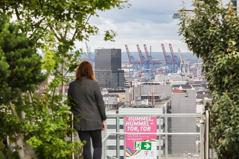 One of the most impressive new design elements is the large path, also lined with plants, shrubs and trees, that runs around the outside of the building and leads visitors to the roof gardens. Ulrich Perrey/dpa