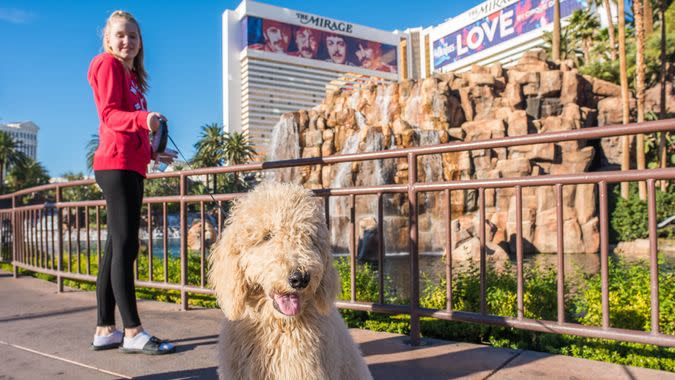 girl-with-dog-in-Las-Vegas