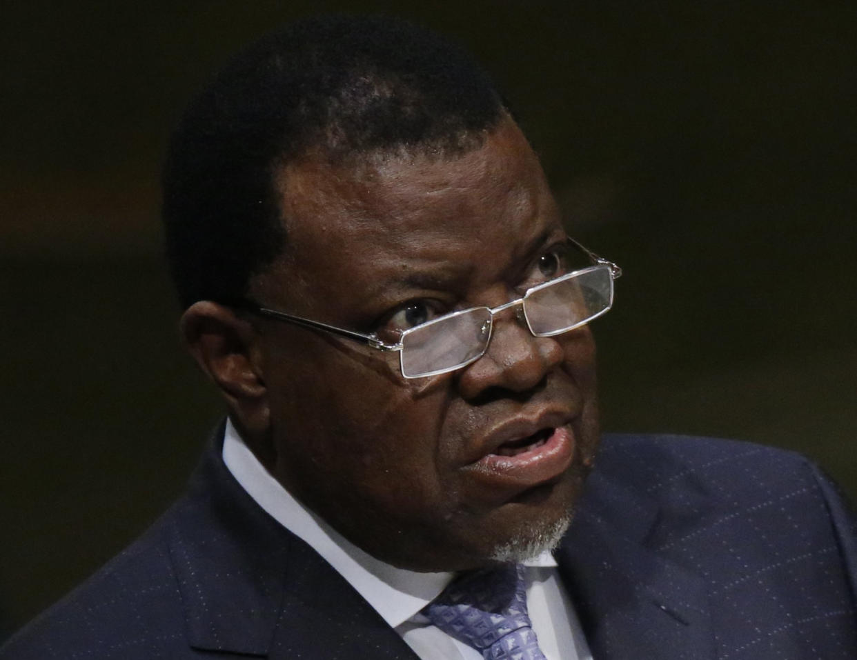 President Hage Geingob of Namibia addresses attendees during the 70th session of the United Nations General Assembly at the U.N. Headquarters in New York, September 29, 2015.   REUTERS/Carlo Allegri 