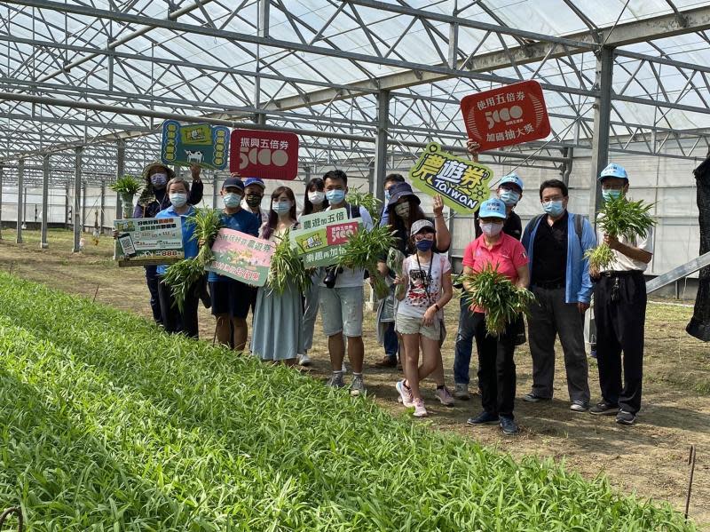 職人帶路社區走讀　走訪笨港原鄉聽交趾陶故事