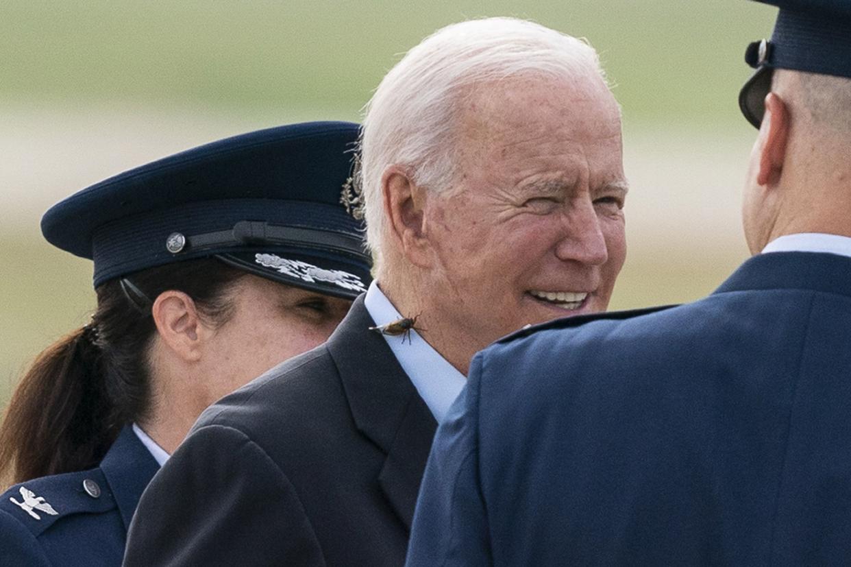 President Joe Biden, with a brood X cicada on his shirt collar, walks to board Air Force One upon departure, Wednesday, June 9, at Andrews Air Force Base, Md. 