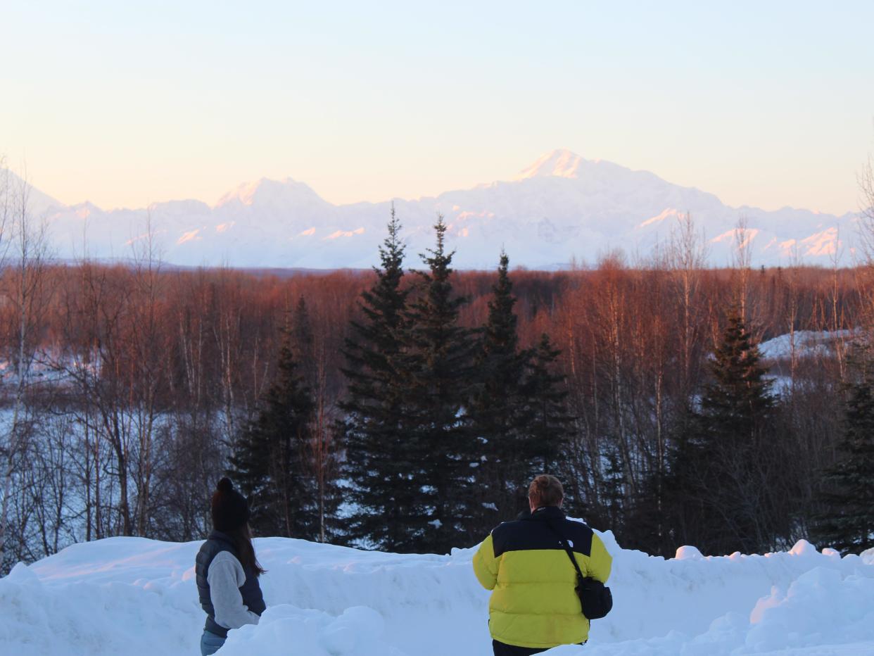 A view of the Alaskan wilderness with snow, reddish trees, mountains in the background