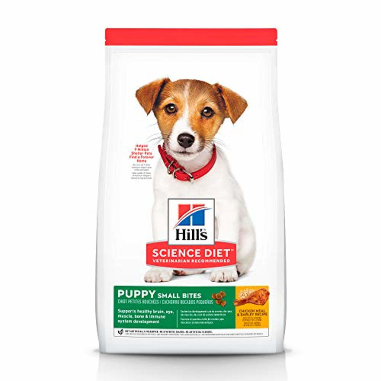 Hill's Science Diet Puppy Small Bites Dry Dog Food (Chewy / Chewy)